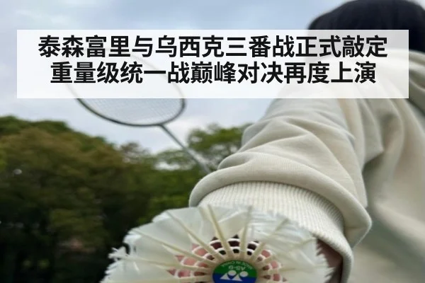 泰森富里与乌西克三番战正式敲定 重量级统一战巅峰对决再度上演